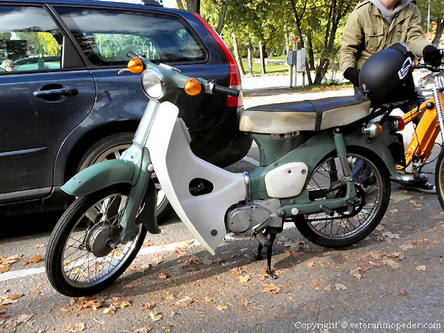 honda cub 50